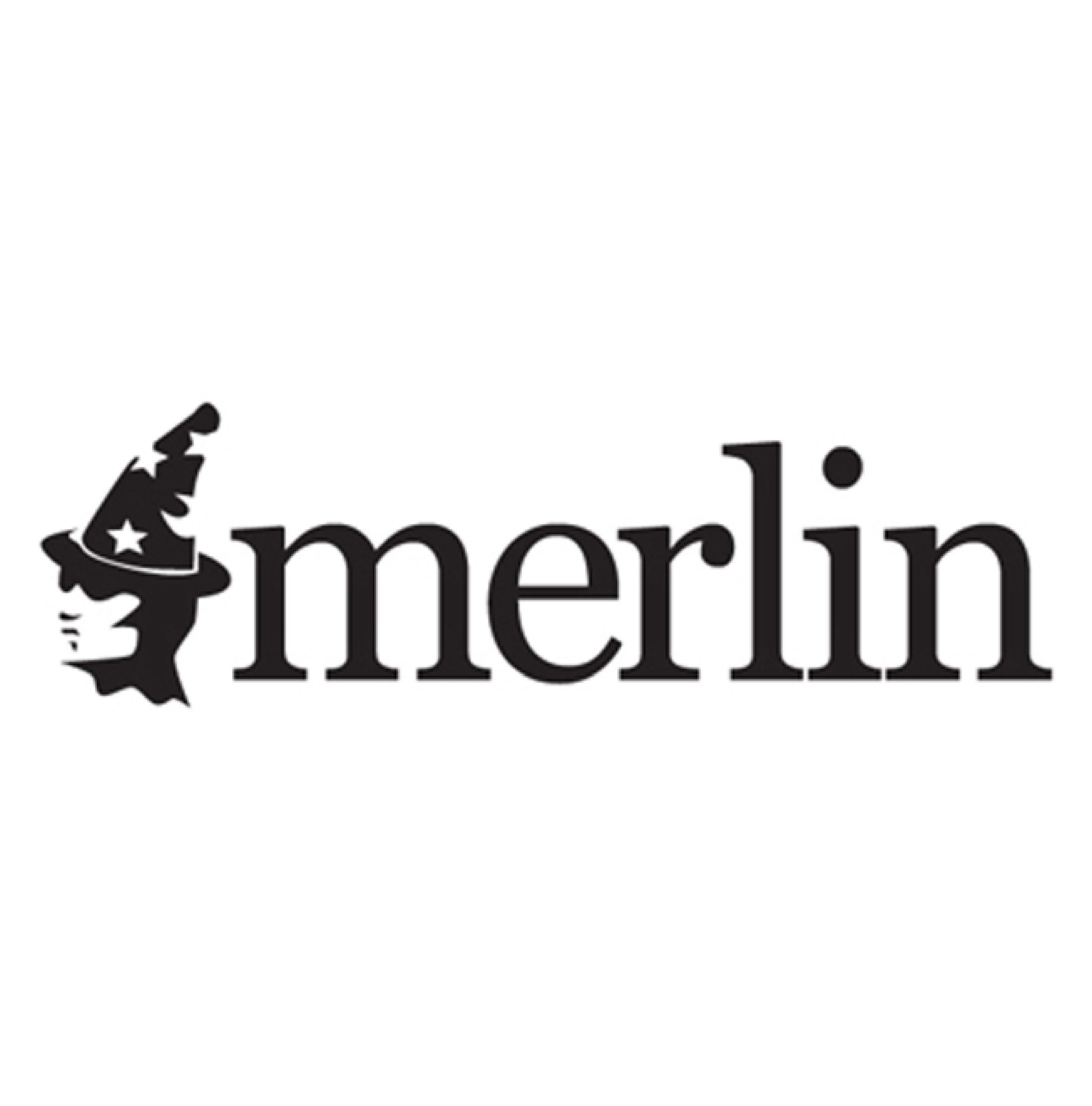 A logo combining a wizard hat and silhouette with the word 'merlin'.