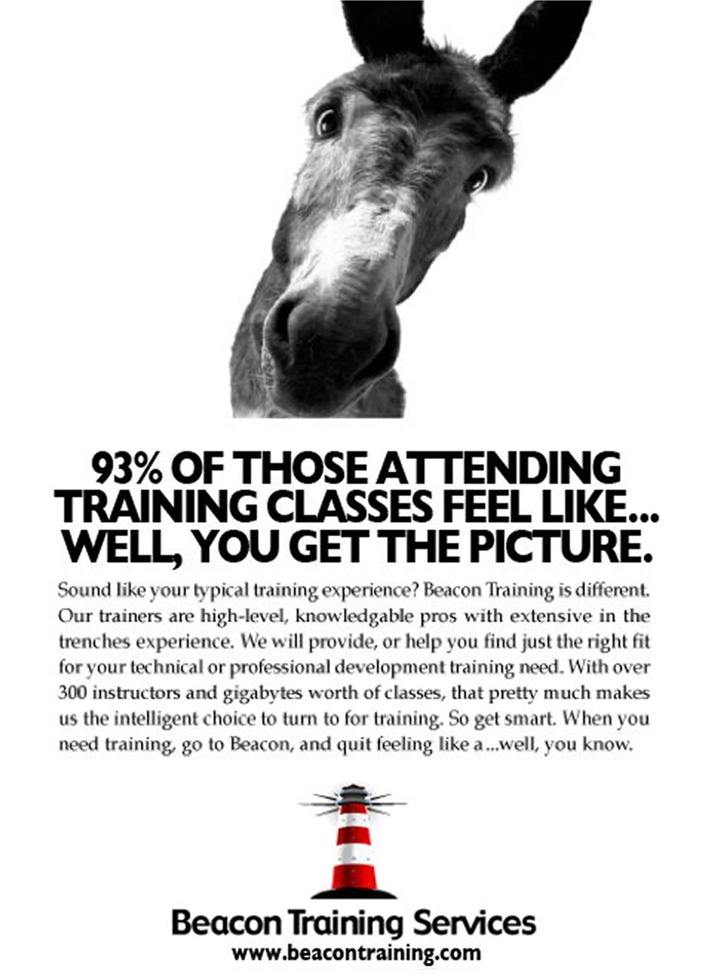 A horse with an expressive face and a motivational quote about confidence and social anxiety.